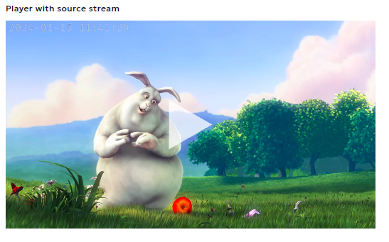 Player with source stream